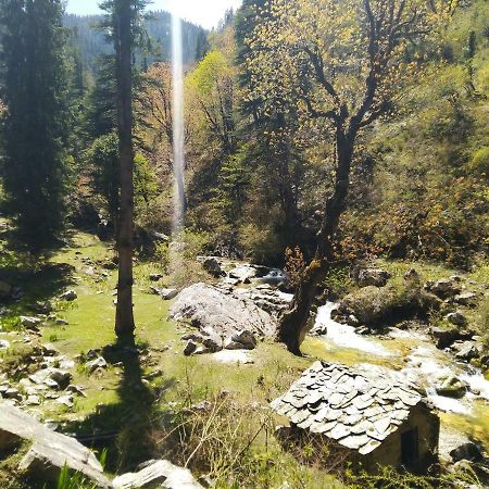 Latoda Eco Lodge Jibhi Dış mekan fotoğraf