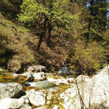 Latoda Eco Lodge Jibhi Dış mekan fotoğraf