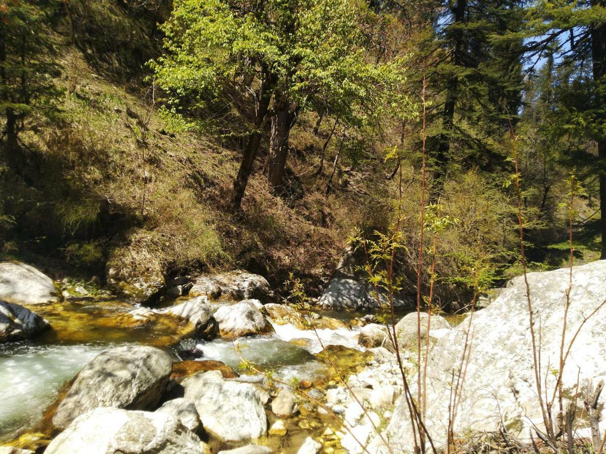 Latoda Eco Lodge Jibhi Dış mekan fotoğraf