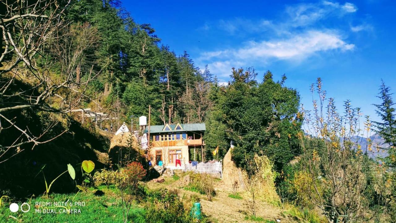 Latoda Eco Lodge Jibhi Dış mekan fotoğraf
